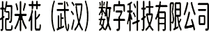 抱米花（武汉）数字科技有限公司